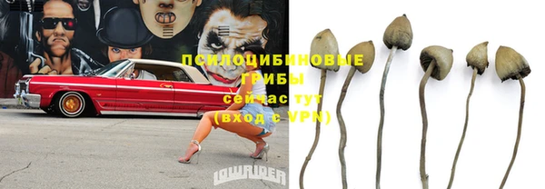 меф Алексин