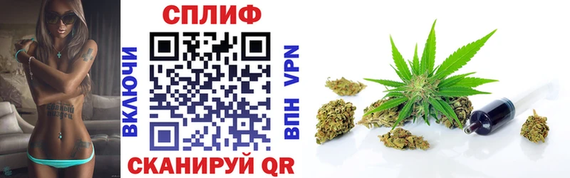 Канабис семена продажа наркотиков Камбарка